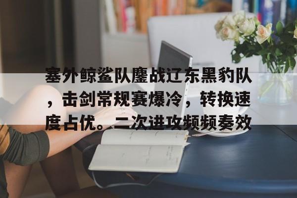 九游官方-包含塞外鲸鲨队鏖战辽东黑豹队，击剑常规赛爆冷，转换速度占优。二次进攻频频奏效的词条