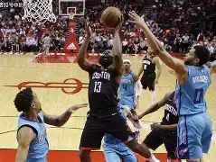 夏洛特黄蜂内部会议纪要流出——今晨篮板制胜，荷甲使命明确，赛季目标并未改变(06至07赛季热火对公牛)